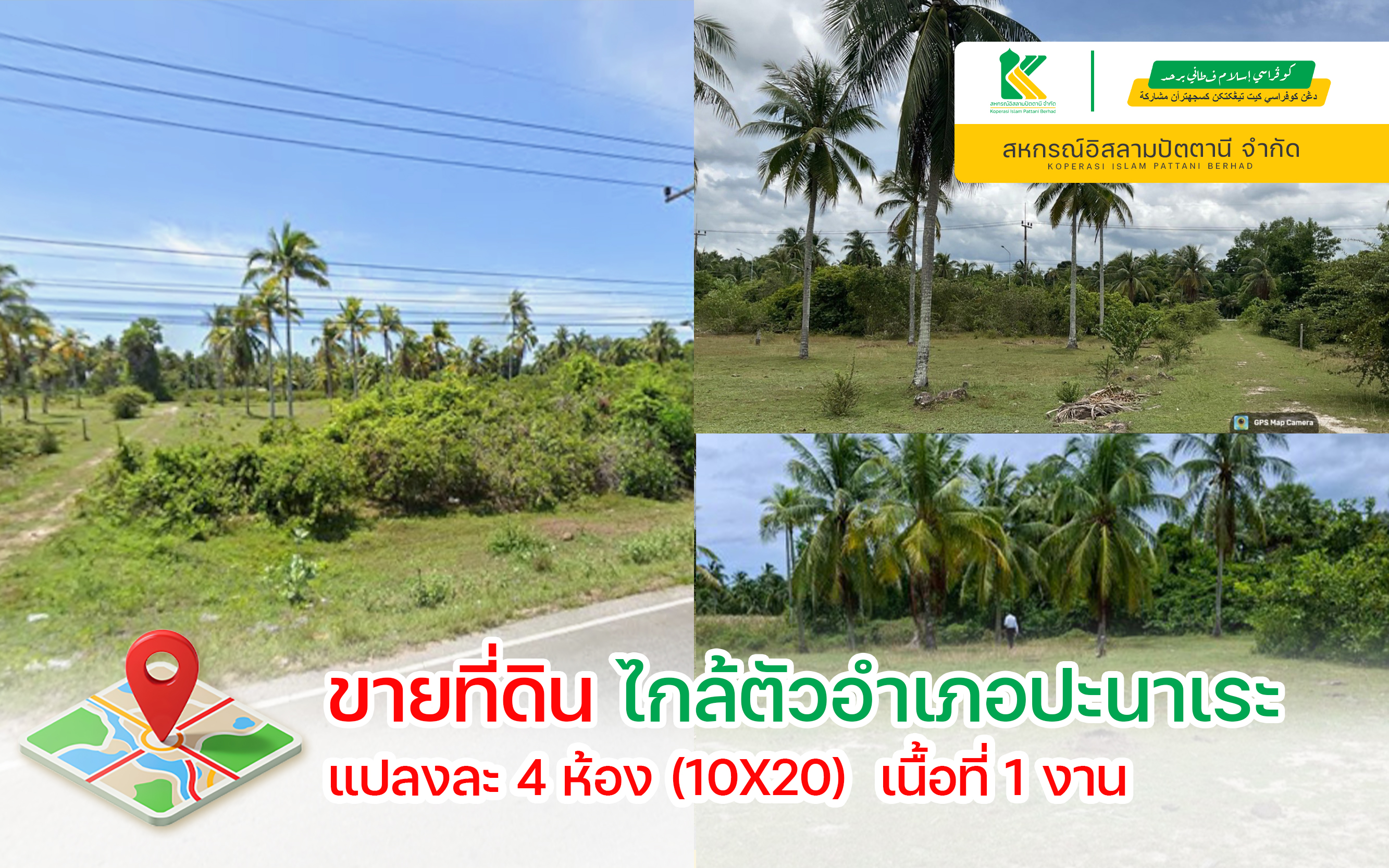 ที่ดินปะนาเระ ใกล้อำเภอปะนาเระ 